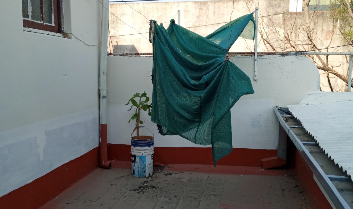 Propiedad De La Galería