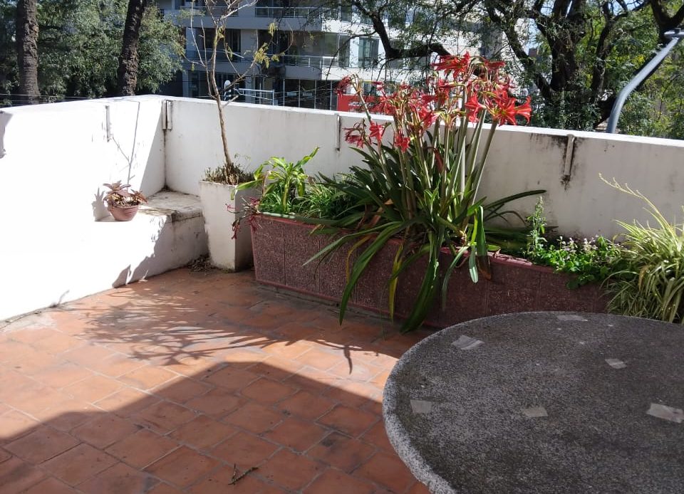 Propiedad De La Galería