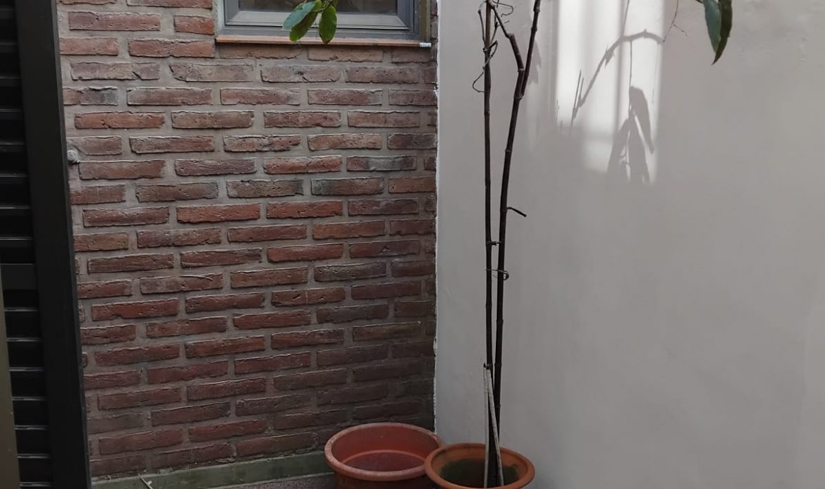 Propiedad De La Galería