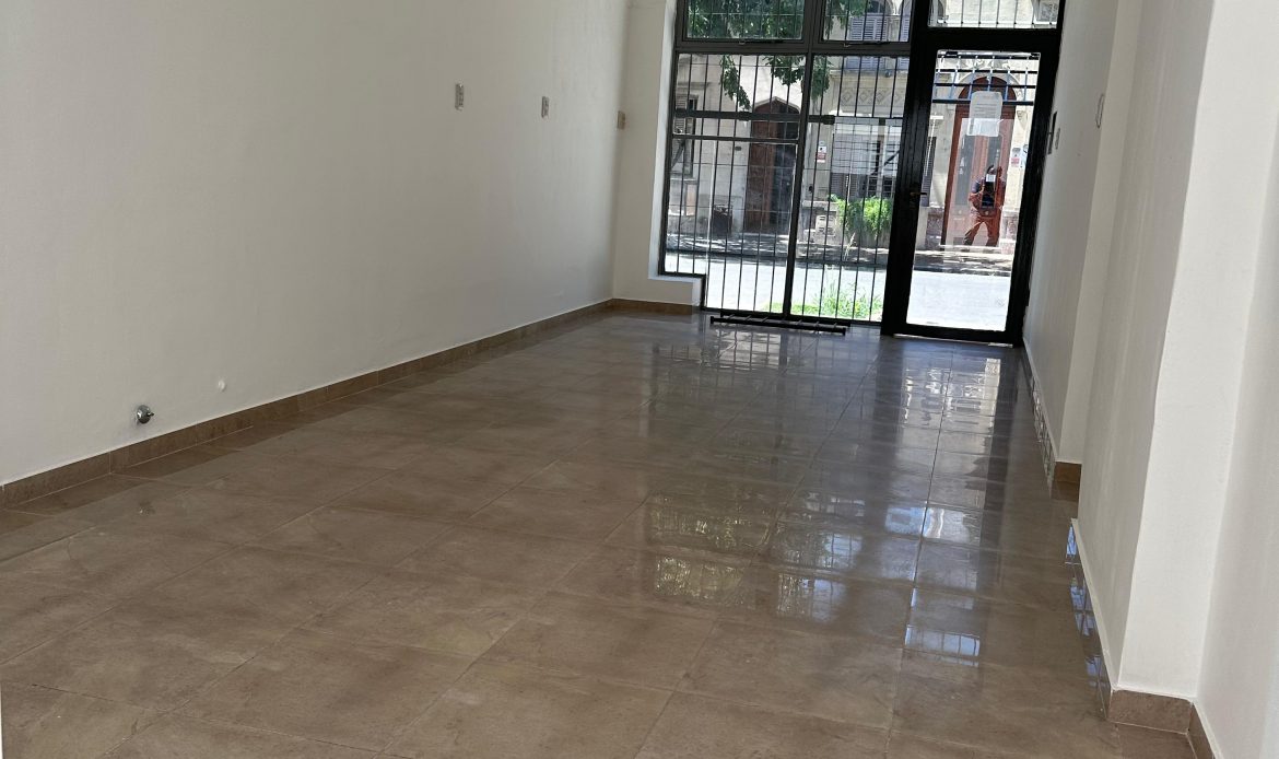 Propiedad De La Galería