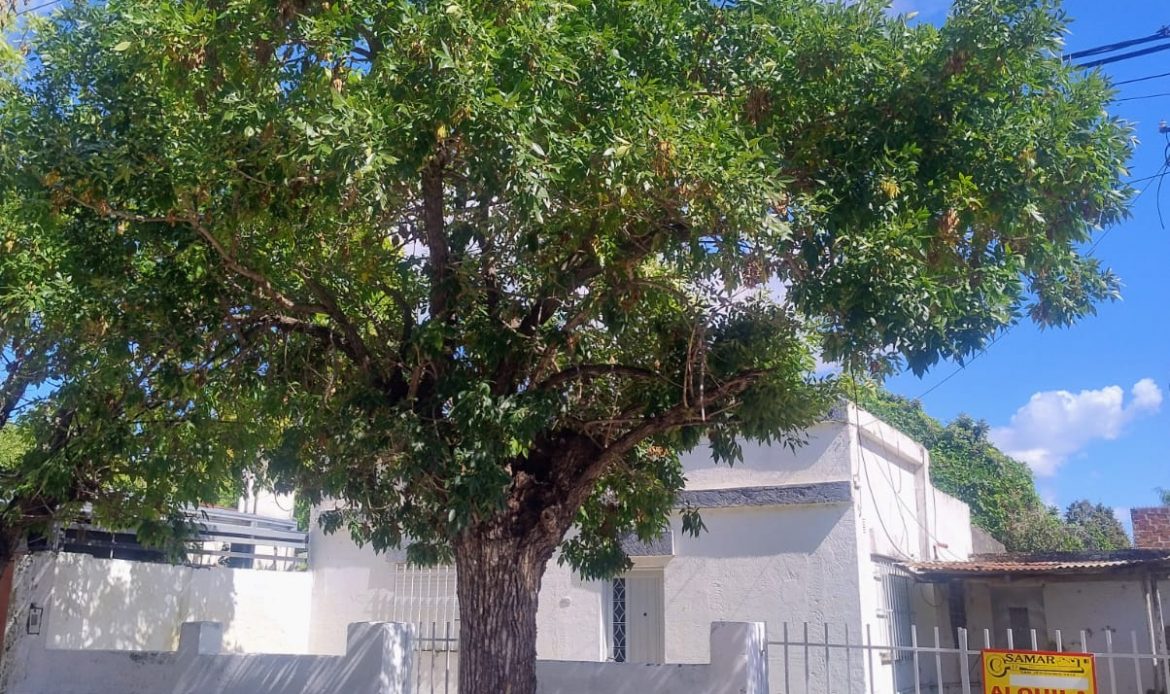 Propiedad De La Galería