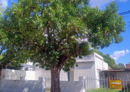 Pasaje Ingenieros 5021