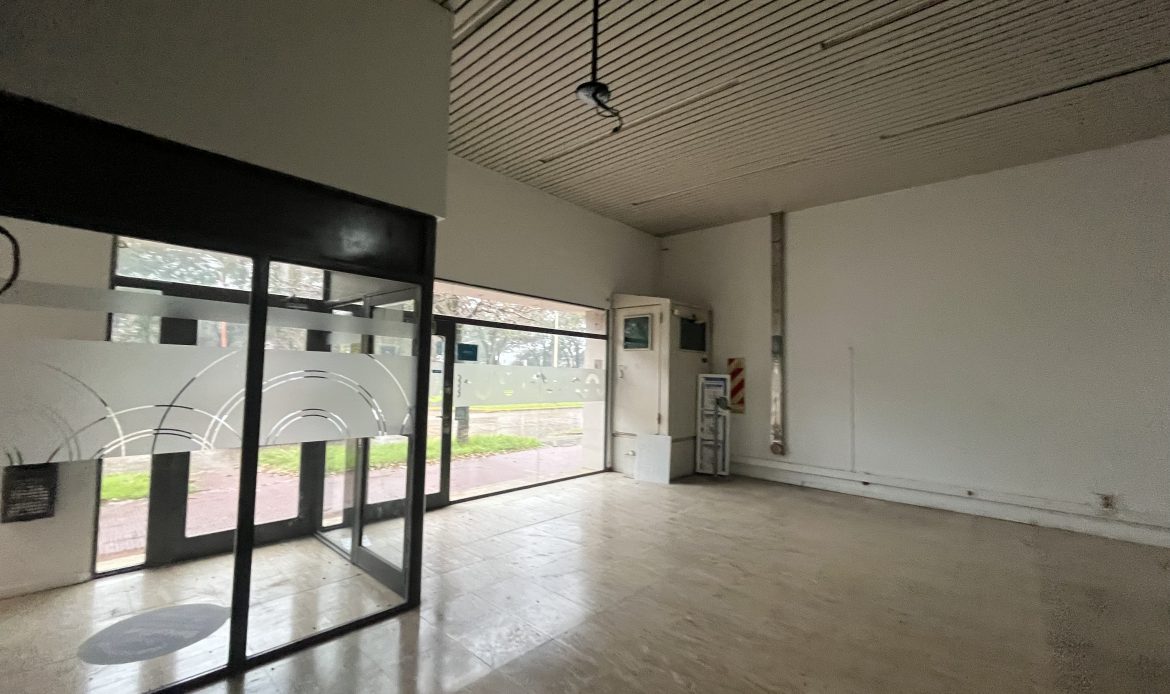 Propiedad De La Galería