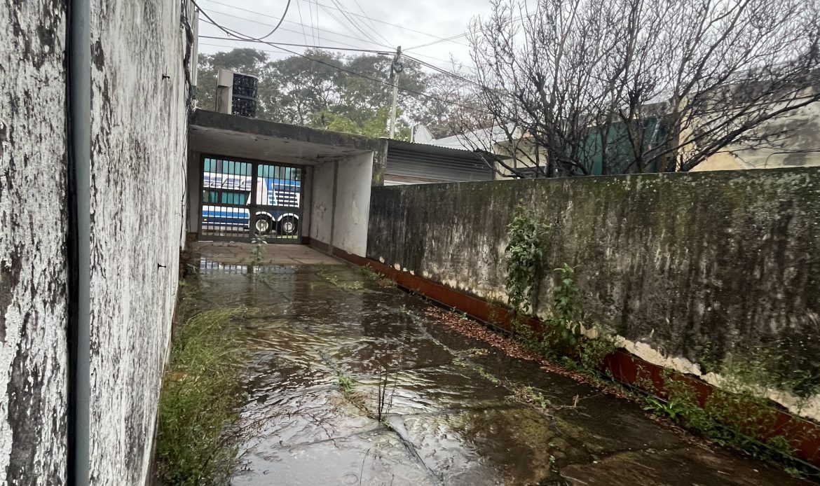 Propiedad De La Galería