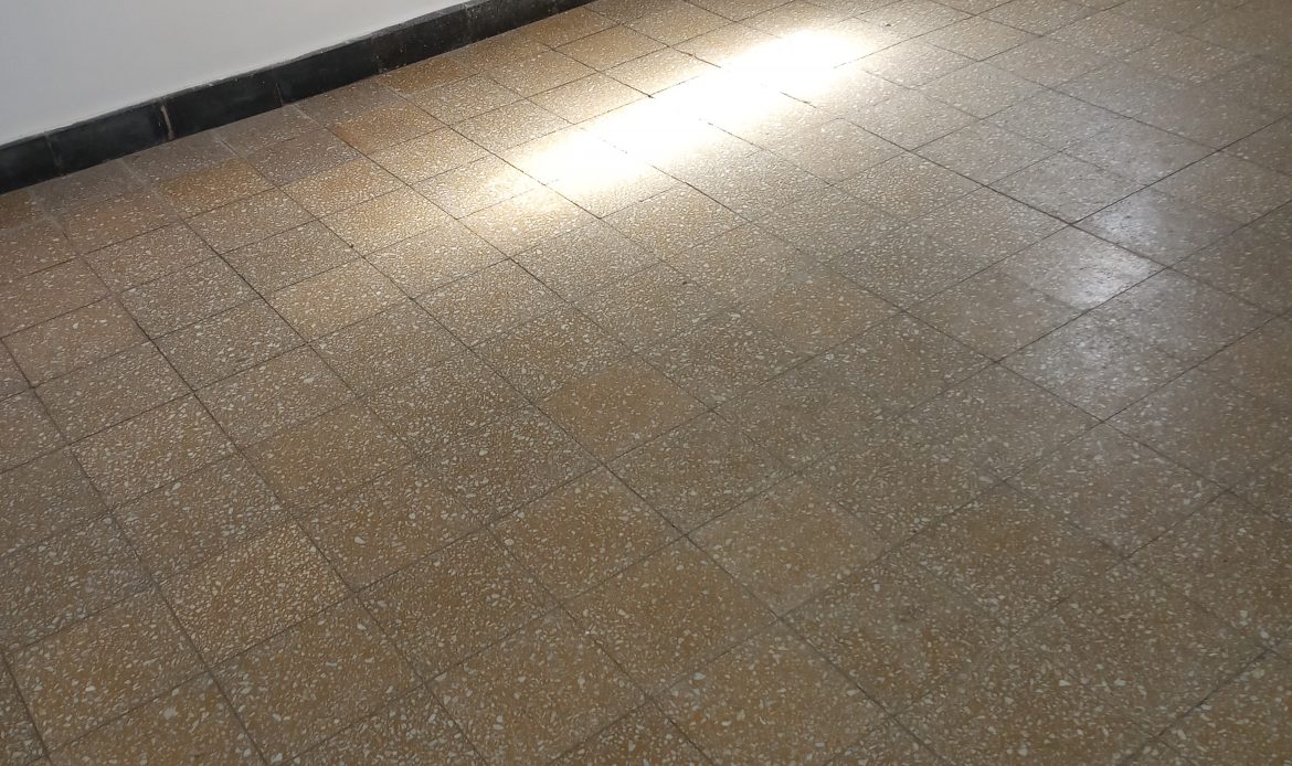Propiedad De La Galería