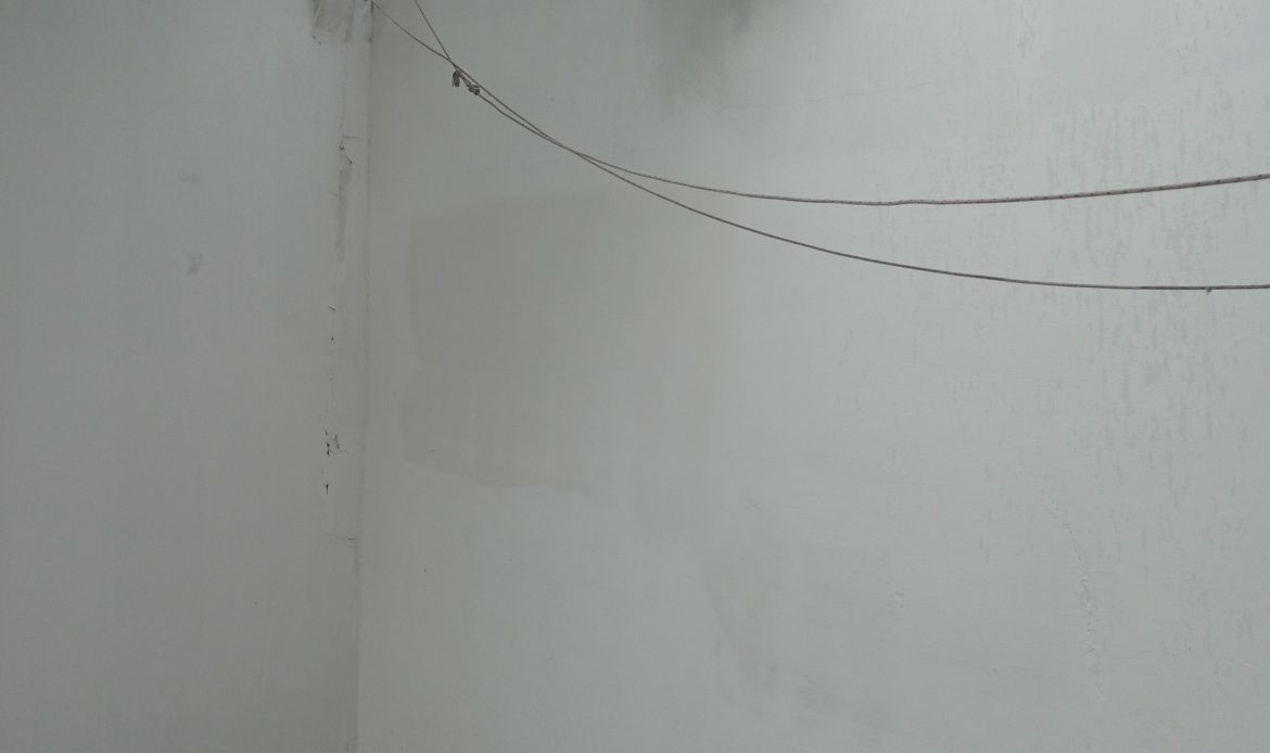 Propiedad De La Galería